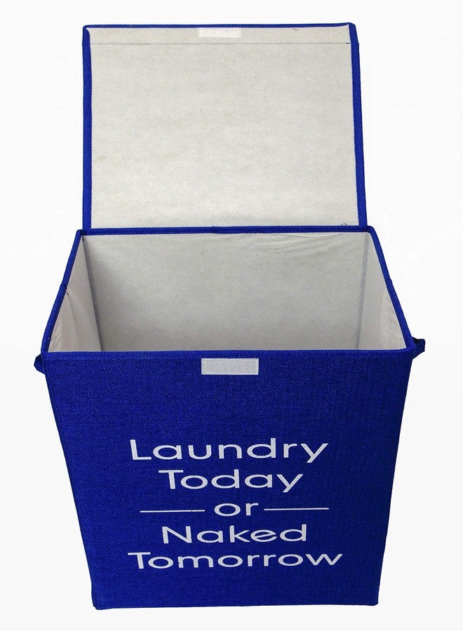 VRT Foldable European Pattern Rectangle Shape Laundry Box, Basket for Dirty Clothes, Laundry Hamper with Lid and Closure (Blue) - Image 3